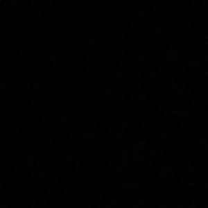 Meet your Posher, Bradd